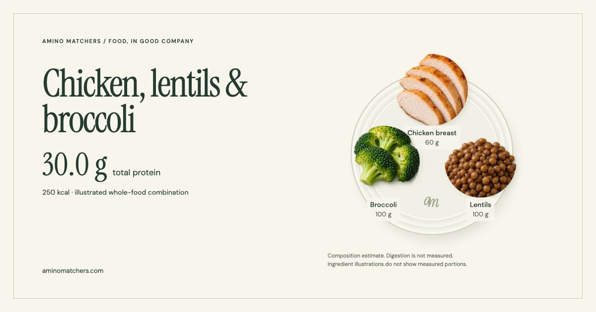 Chicken, lentils & broccoli — illustrated ingredients and nutrition