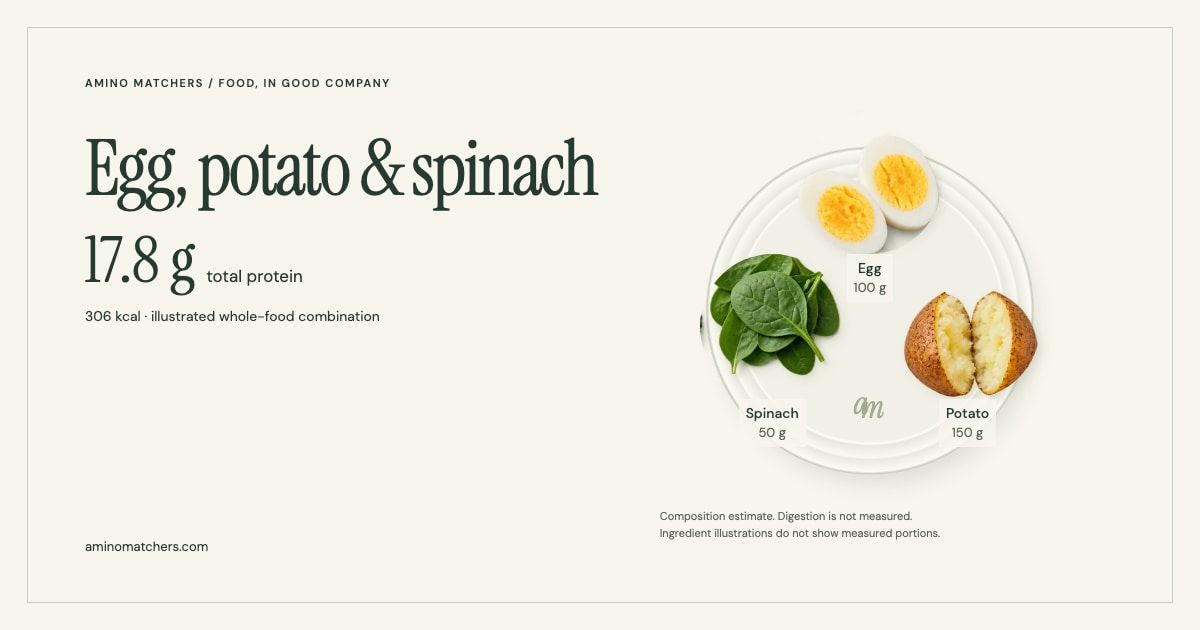 Egg, potato & spinach — illustrated ingredients and nutrition