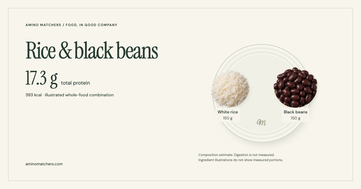 Rice & black beans — illustrated ingredients and nutrition